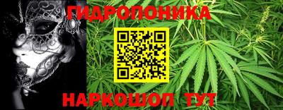 a pvp Гай