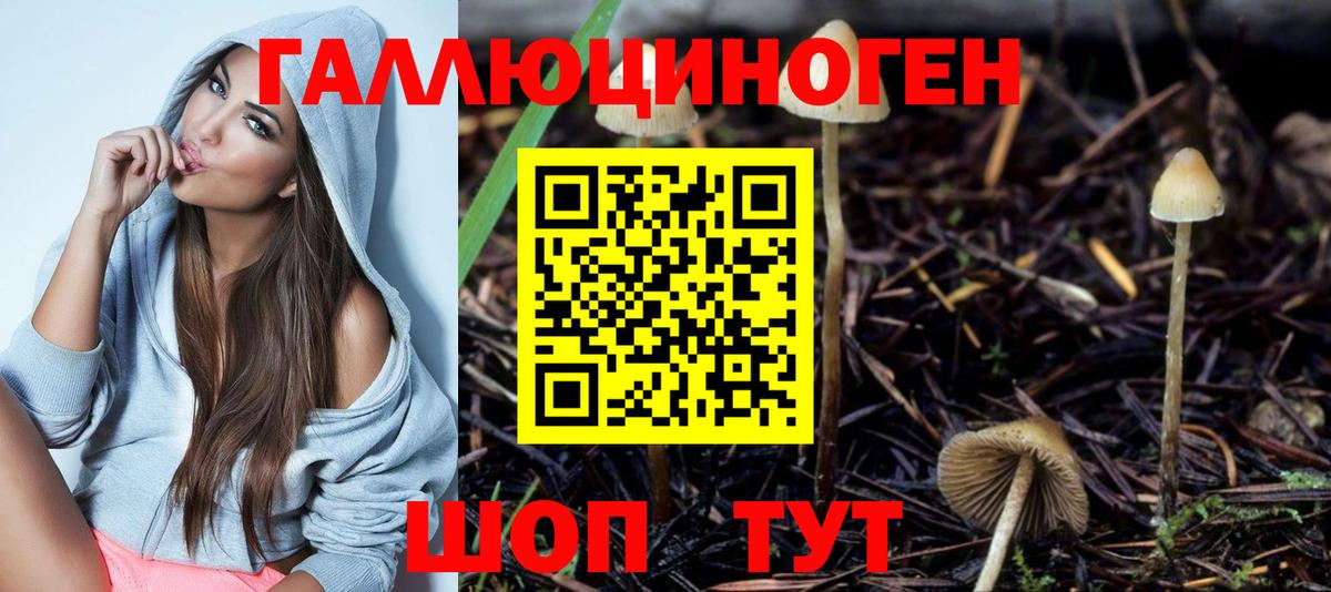 Галлюциногенные грибы мухоморы Зима
