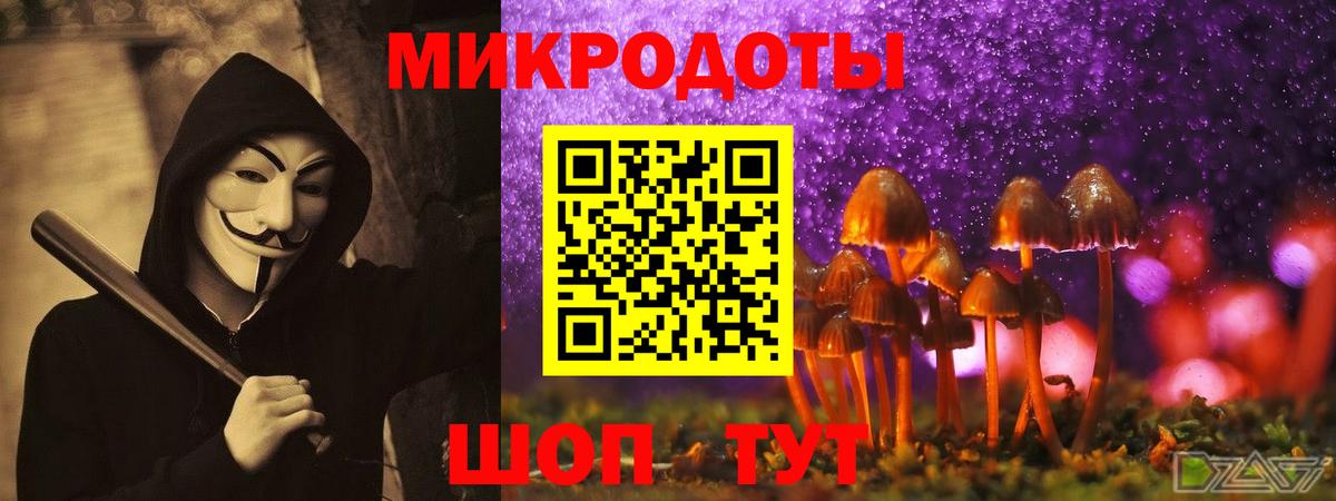 Зима  закладки  Псилоцибиновые грибы прущие грибы  Вход с VPN  Галлюциногенные грибы MAGIC MUSHROOMS 