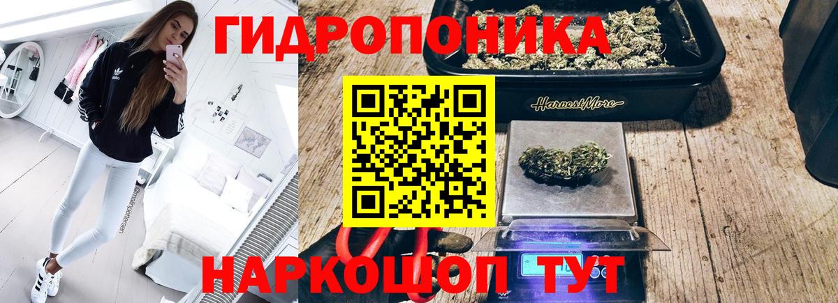 Шишки марихуана тримм  Шишки марихуана индика  Вход с VPN  Зима 